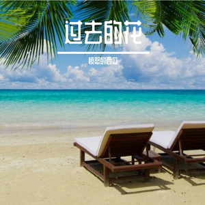 阳光下盛开