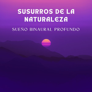 Ritmos Aleatorios Del Sueño