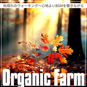 Walking in the Autumn Light