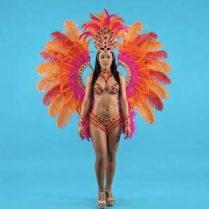 Samba de Janeiro
