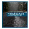 Rain Designer Nature Music Studio - Wet Moderate Rain