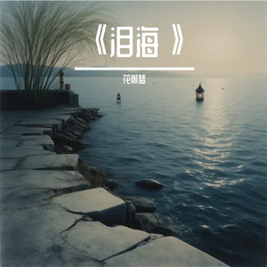 泪海 伴奏