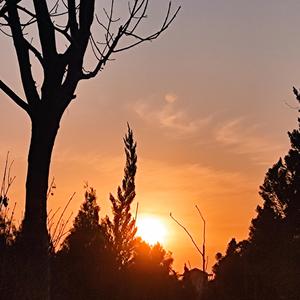 恋爱真没什么好谈的