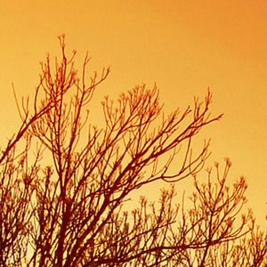 你会觉得遇到我这样的朋友是件幸运的事吗？