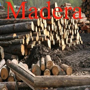 Madera