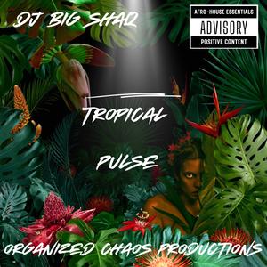 Ebukhosini (Chaotic Mix)