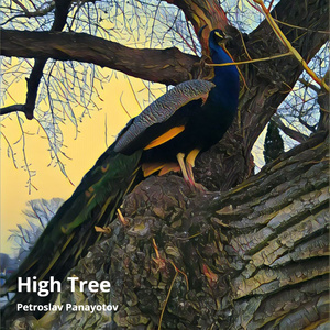 High Tree