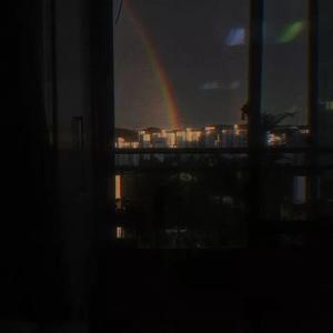 "(｡•́︿•̀｡)