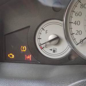 沉沦与遐想+花花公子