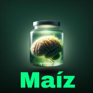Maíz