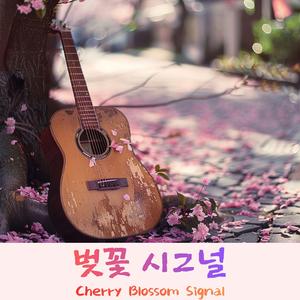 벚꽃 시그널 (Cherry Blossom Signal)-Acoustic Folk