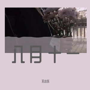 八月十一