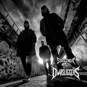Dwarsliggers