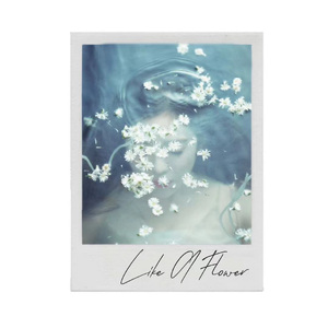 等风来｜Like A Flower 中文版