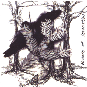 Heart - 6 Breaths Per Minute - D