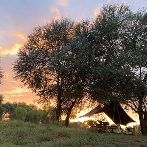 你只问我粥可温否