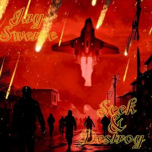 Seek & Destroy (feat. Souldouja & Denver Devil)