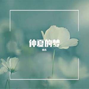 仲夏的梦