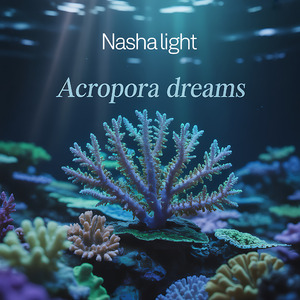 Acropora Dreams
