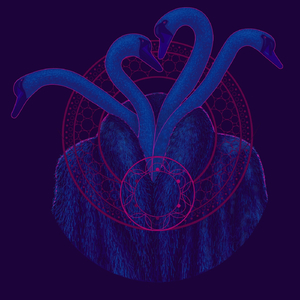 Act Like You Give a Damn