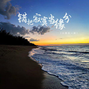 错把寂寞当缘分 (DJ阿骏版)