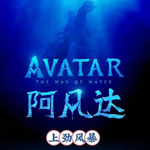 DJ大宝-金牌节奏沈阳舞曲阿凡达上劲风暴MUSIC慢摇大碟（DJ大宝 remix）