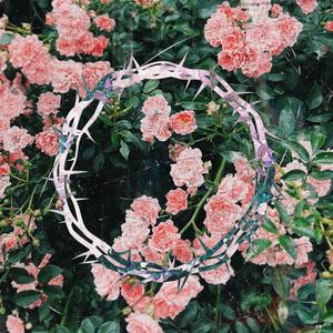 No Rest for the Damned