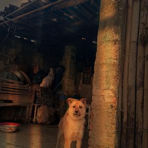 奇奇怪怪（Strange and strange）