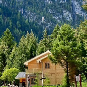 《弦乐织就的奢华浪漫之境》018