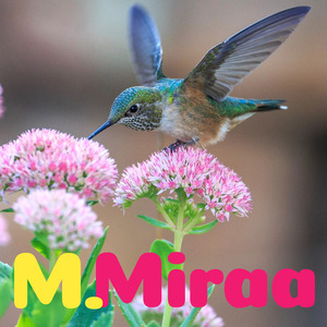 君と過ごした日々