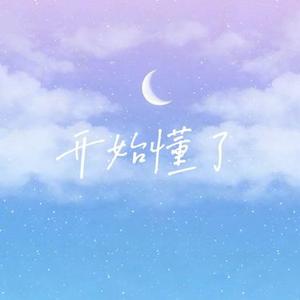 开始懂了  (雷鬼版)