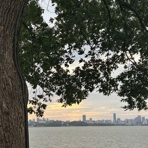 你别皱眉（Prod by Morrow x FAS）