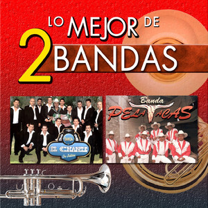 Alacranes De Apatzingan