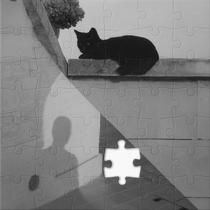 Amor e Mort (Eko Live Session)