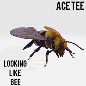 LOOKING LIKE BEE