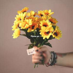 Flores pt. 1