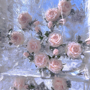 Only look at me/나만 바라봐（朴彩英版）