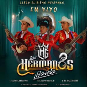 El enamorado (En vivo)