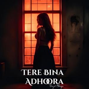 Tere Bina Adhoora