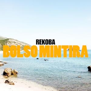 Bolso Mintira