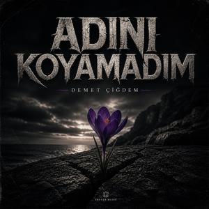 Adını Koyamadım