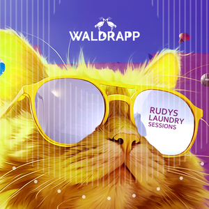 Confused and Puzzling (Live)