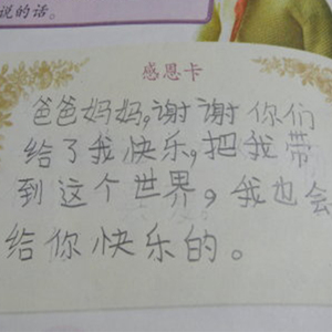 写给爸爸妈妈的日记