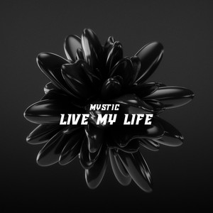 Live My Life