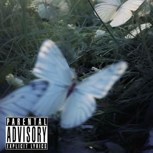 [Free]"蝴蝶" GALI x ASEN x Lil Tjay Type Beat