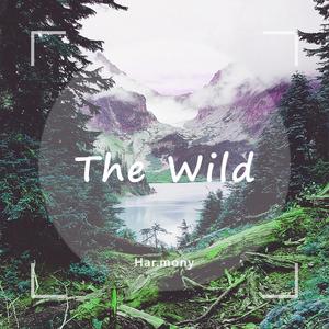The Wild
