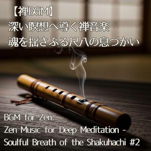 Fogbound Mountain Zen Meditation