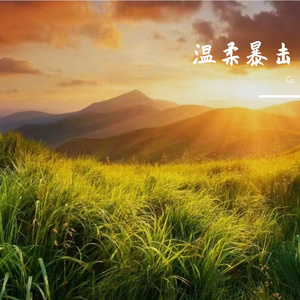 勇敢到无需惊扰