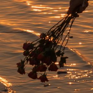 玫瑰少年-小提琴版(翻自蔡依林)