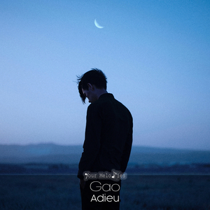 Adieu (Original Mix)